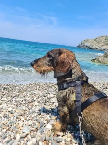 Foto di Cristina
