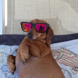 Foto di Mirella
